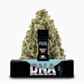 Northern Lights (I) | 1g Pod | Plugplay