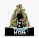 Northern Lights (I) | 1g Pod | Plugplay