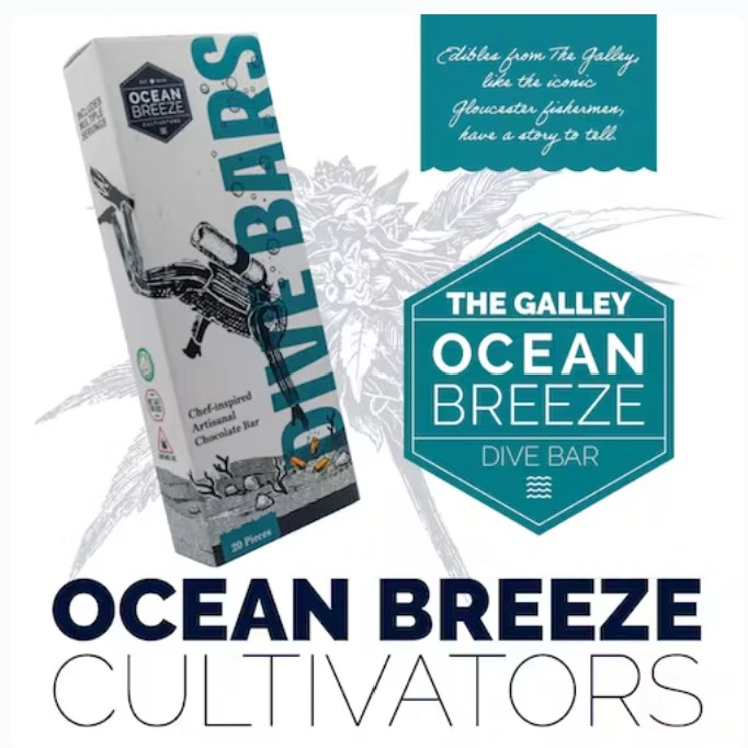 Ocean Breeze - Berries & Cream Dive Bar - 100mg - OBC Main Image