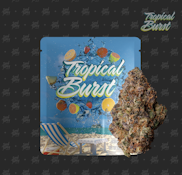 Tropical Burst - Indoor - 3.5g