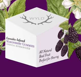 WYLD - WYLD MARIONBERRY 100MG INDICA GUMMY