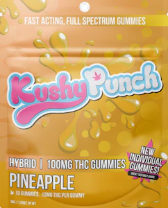 KUSHY PUNCH - KUSHY PUNCH  100MG PINEAPPLE