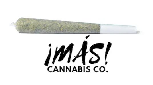 MAS! Cannabis - MAS! - El Churro - 1g Infused Indica Preroll
