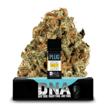 Plug and Play DNA Cart 1g Super Lemon Haze