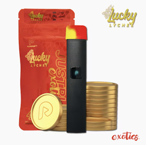 PlugPlay - Lucky Lychee (H) | 1g Disposable | Plug Play