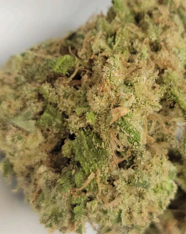 TRUMED - 9MM  - PREPACK 3.5GRAM Main Image