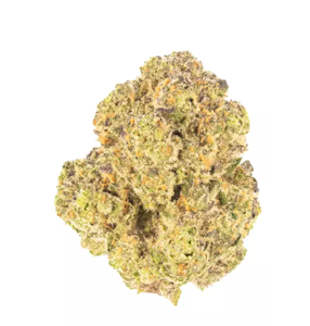 HIDDEN  GARDEN - BCC X JEALOUSY  1 GRAM