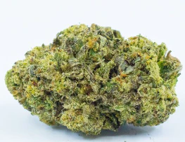 Green Leef Pharms - CHAMPAYA#4-1 GRAM PREPACK Main Image