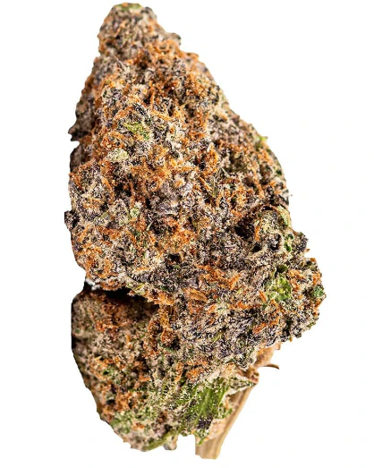 TRUMED - DIA DE LOS MUERTOS  1GRAM Main Image