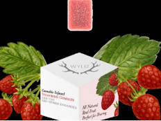 WYLD STRAWBERRY 20:1 CBD/THC GUMMY