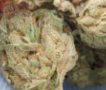 Green Leef Pharms - HELL'S BANANA-1 G PREPACK Main Image