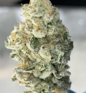 Green Leef Pharms - GLP-LaBananaCake1#5- 14 G A\B PRE-PACK