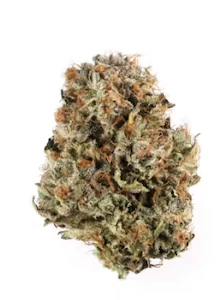 Green Leef Pharms - PETRO CHEM - 7G PRE PACK