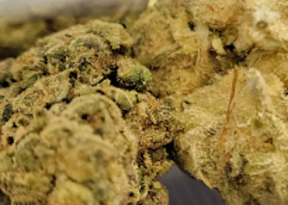 Green Leef Pharms - RAINBOW BELTS #2- 3.5 G PRE PACK