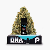 PLUGplay 1G Northern Lights Pod