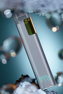 Boutiq - Watermelon (I) | 1g Silver Disposable | BOUTIQ