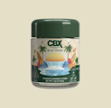 Blue Crush (H) | 3.5g Jar | Cannabiotix