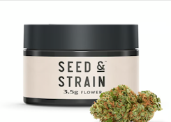 [REC] Seed & Strain|  Red Bullz | 3.5g Flower