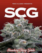 True Classic - Strawberry Cherry Gelato (S) 3.5g