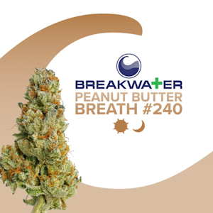Breakwater - [MED} Breakwater | Peanut Butter Breath #240 | 3.5g Flower