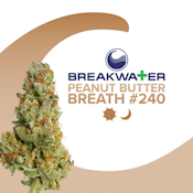 [MED] Breakwater | Peanut Butter Breath #240 | 7g Flower