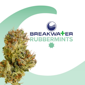 [MED] Breakwater | Rubbermints | 7g Flower