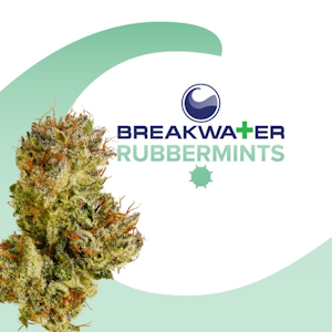 Breakwater - [MED] Breakwater | Rubbermints | 7g Flower