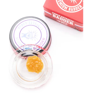 Punch - Punch - Blueberry - 1g BHO Badder