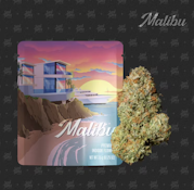 Malibu - Indoor - 3.5g