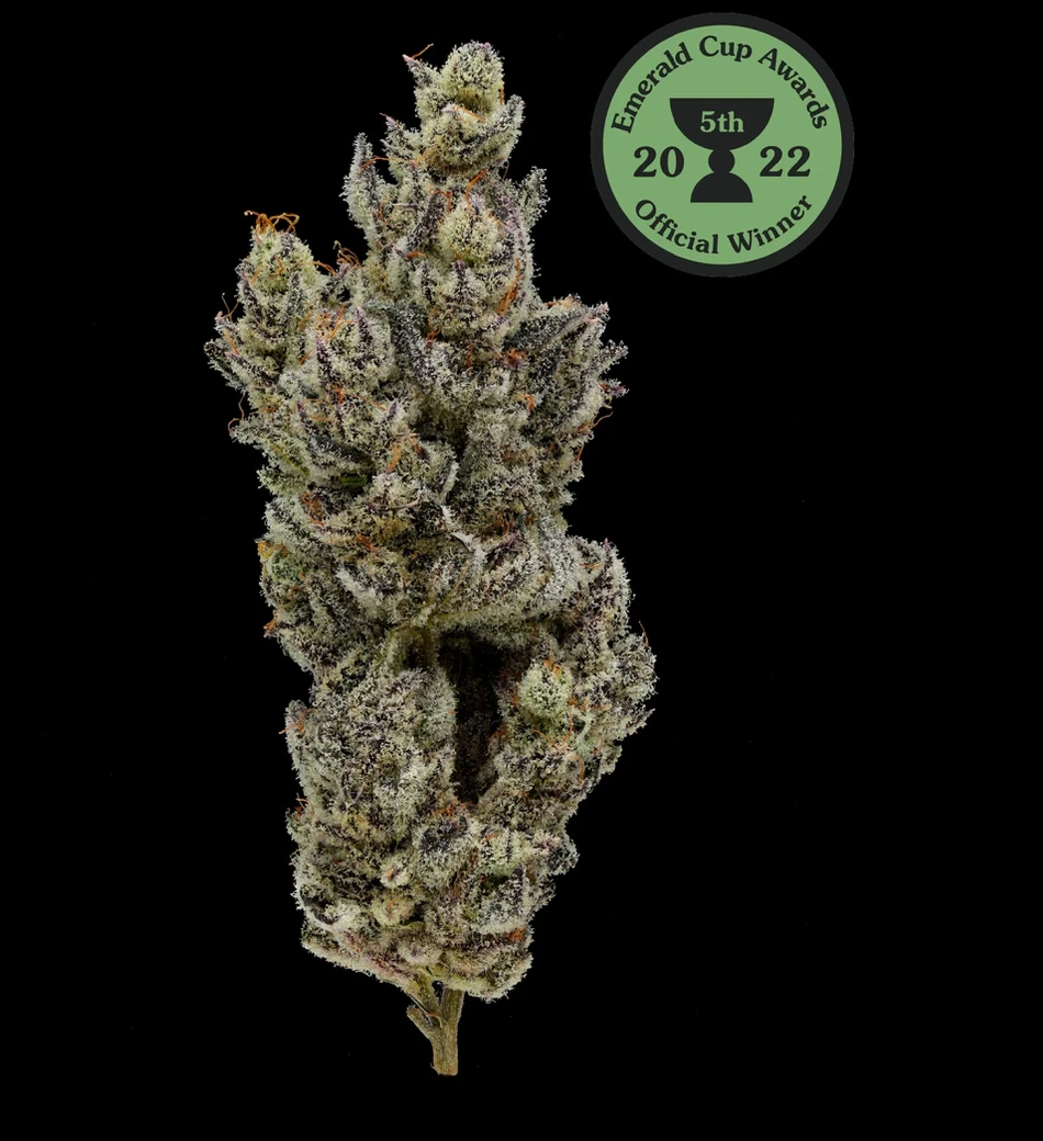 Fig Farms - Fig Farms - Holy Moly! - 3.5g Flower Main Image