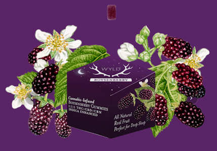 WYLD - [WYLD] THC Gummies - 100mg - THC:CBD:CBN 1:1:1 Boysenberry (I)