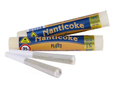 Nanticoke - Nanticoke - Pluto - .5g - Pre-Roll