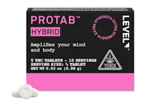 Level - Protab Hybrid 5pk - 100mg - Edible