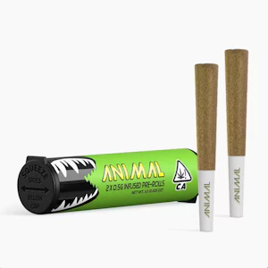 GO FULL ANIMAL - Animal - Apple Pop - 1g Infused Pre-Rolls - 2pk