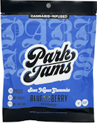 Sour Blueberry - Gummies - 10ct - 100mg