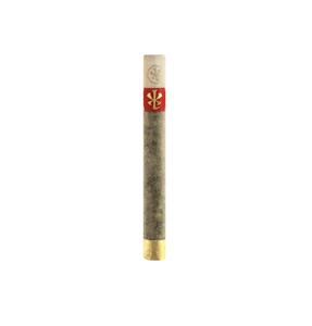 MADE IN XIAOLIN - The Capo VSXL - A-Train/A-Train 6g Pre-Roll | Made in Xiaolin | Pre-Roll