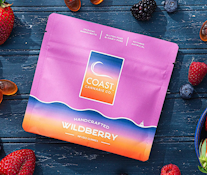 Wild Berry - 100mg - COAST