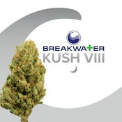 [MED] Breakwater | Kush VIII | 3.5g Flower