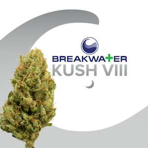 Breakwater - [MED] Breakwater | Kush VIII | 3.5g Flower