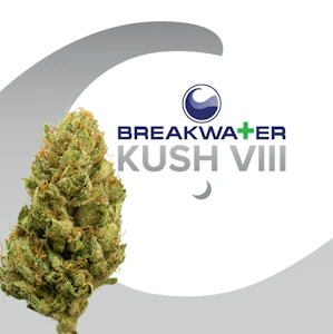 Breakwater - Breakwater | Kush VIII | 3.5g | Flower