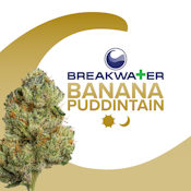 [REC] Breakwater | Banana Puddintain | 7g