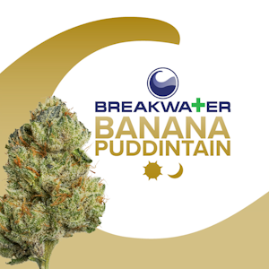 Breakwater - [REC] Breakwater | Banana Puddintain | 3.5g Flower