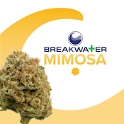 [MED] Breakwater | Mimosa | 3.5g