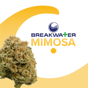 Breakwater - [MED] Breakwater | Mimosa | 3.5g