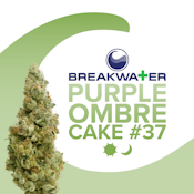 [MED] Breakwater | Purple Ombre Cake #37 | 3.5g