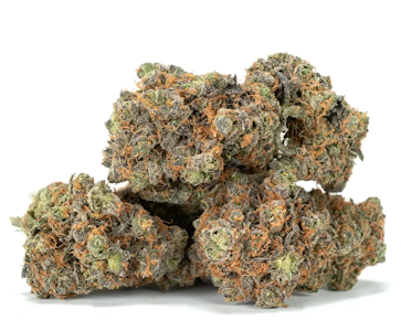 GEMZ - Indoor - 24 Zkittlez 14g - GEMZ