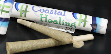 Step Bro - 1g - Coastal Healing