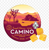 Camino - Pineapple Habanero  - Gummies - 20pk - 100mg
