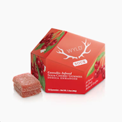 Wyld - Sour Cherry - 100mg THC Gummies - 10pk