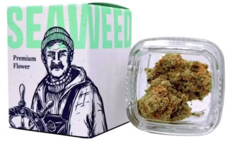 Ocean Breeze - Permanent Marker - 3.5g - Ocean Breeze